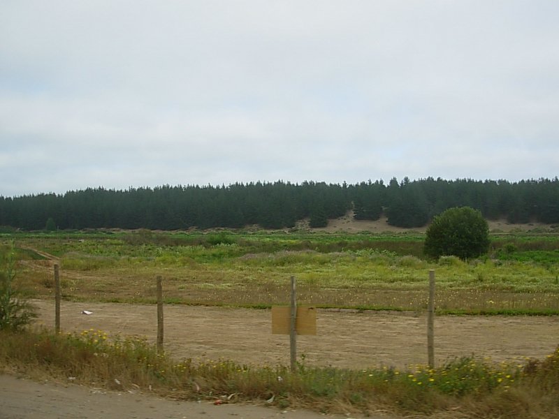 Foto de CONCON, Chile