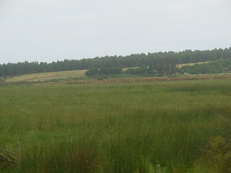 Foto de CONCON, Chile