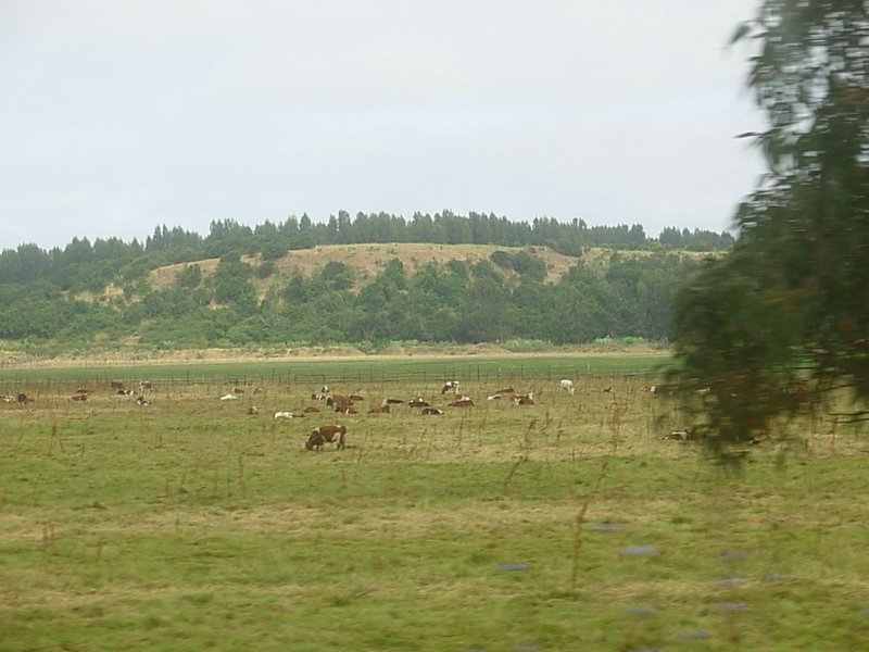 Foto de CONCON, Chile