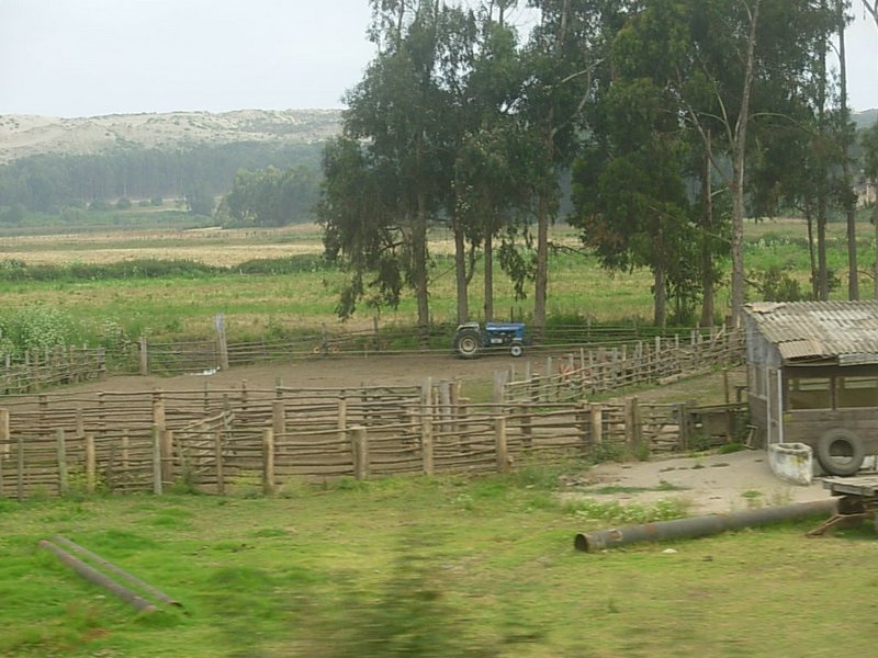 Foto de CONCON, Chile