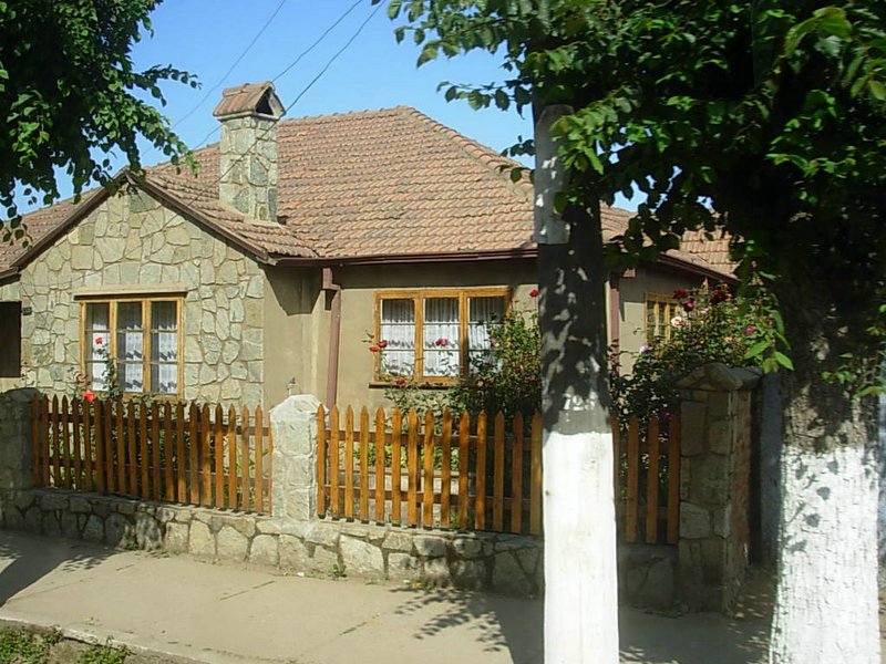 Foto de PUCHUNCAVI, Chile