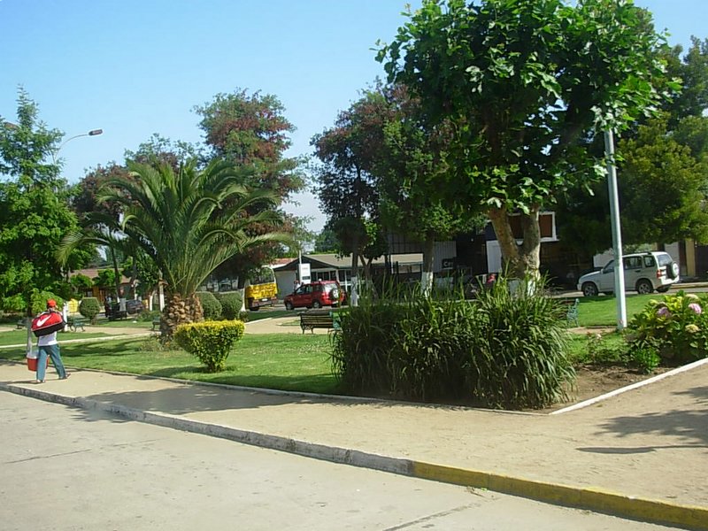 Foto de PUCHUNCAVI, Chile