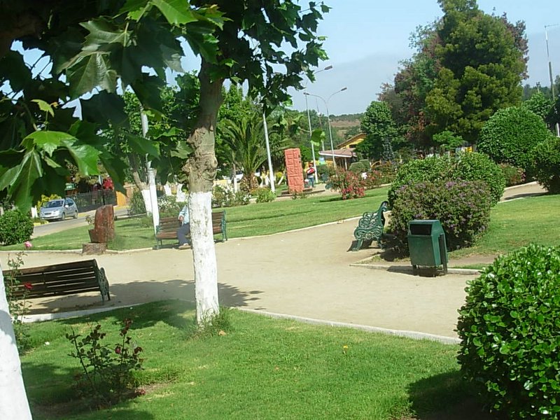 Foto de PUCHUNCAVI, Chile