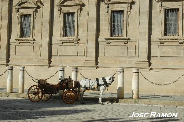 Foto de Sevilla (Andalucía), España
