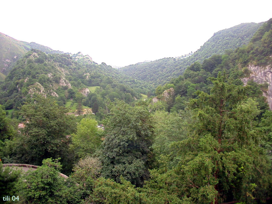 Foto de Cangas de Onís (Asturias), España