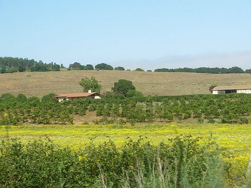 Foto de PUCHUNCAVI, Chile