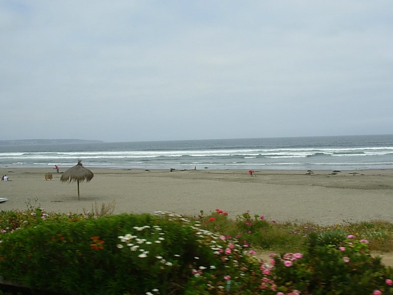 Foto de MAITENCILLO, Chile