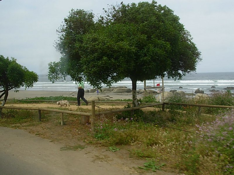 Foto de MAITENCILLO, Chile
