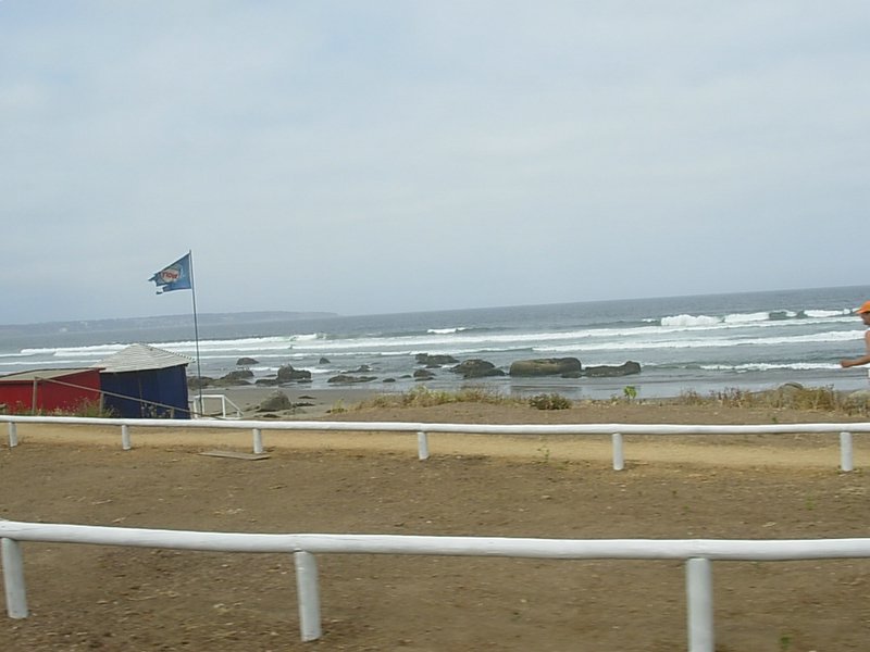 Foto de MAITENCILLO, Chile