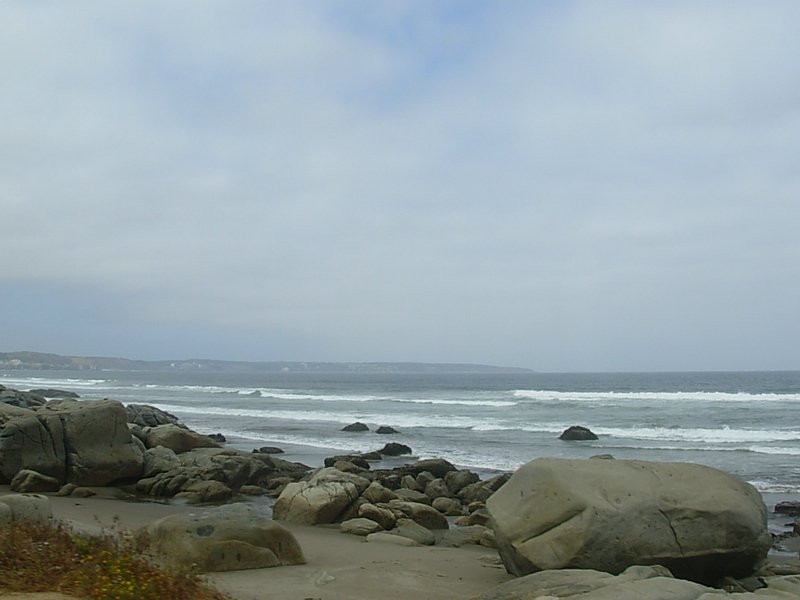 Foto de MAITENCILLO, Chile