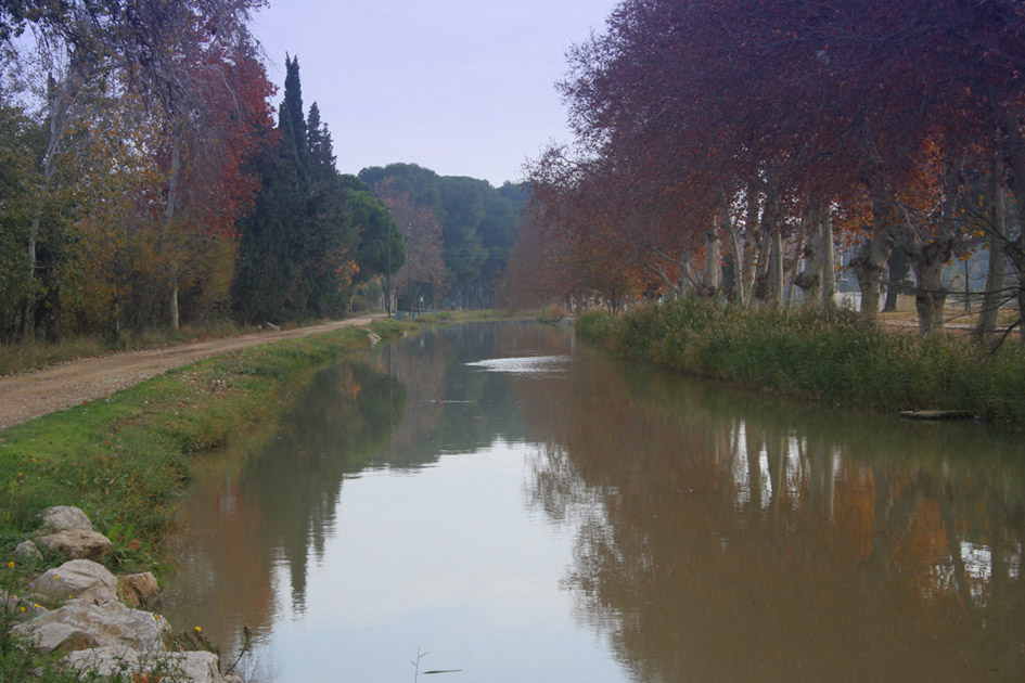 Foto de Zaragoza (Aragón), España