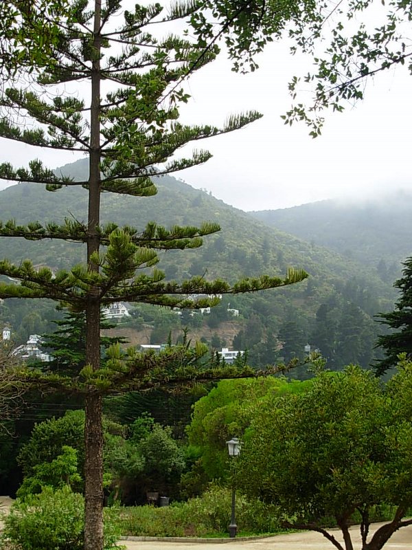 Foto de ZAPALLAR, Chile