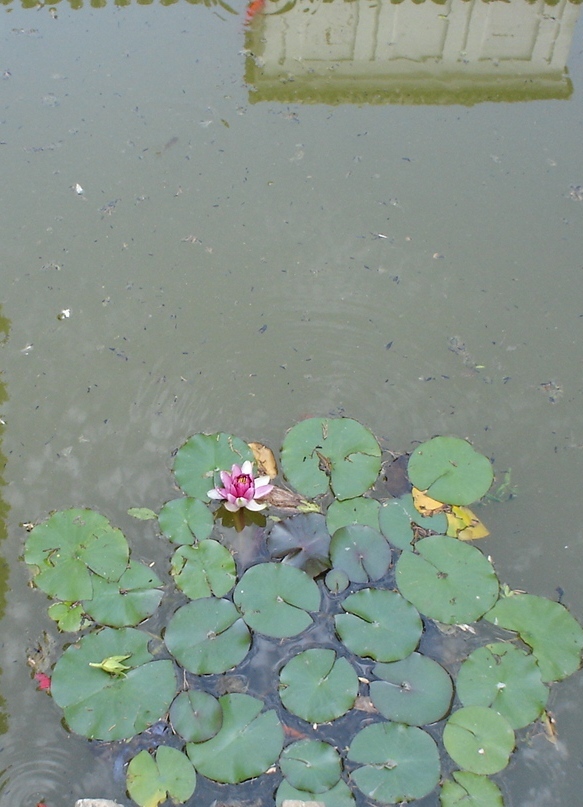 Foto de Sevilla (Andalucía), España