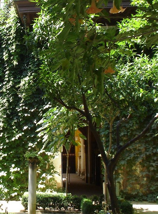 Foto de Sevilla (Andalucía), España