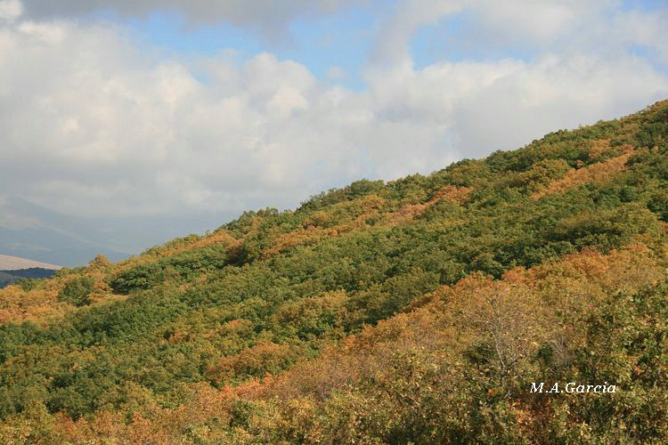 Foto de Ólvega (Soria), España