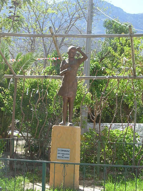 Foto de Rivadavia, Chile