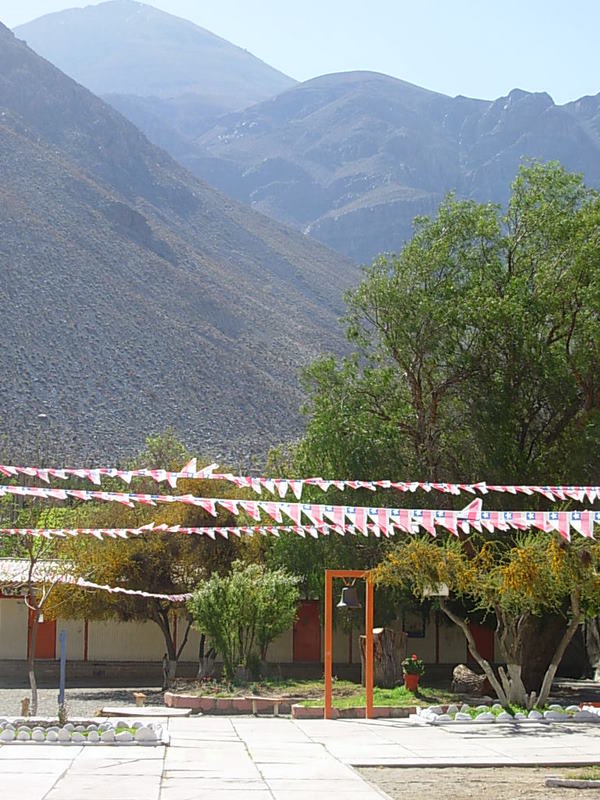 Foto de Rivadavia, Chile