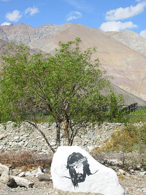 Foto de Rivadavia, Chile