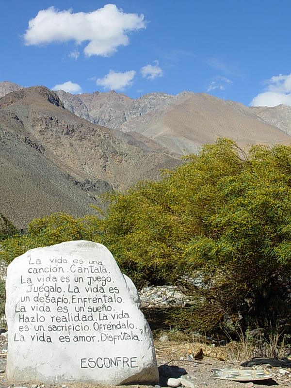 Foto de Rivadavia, Chile