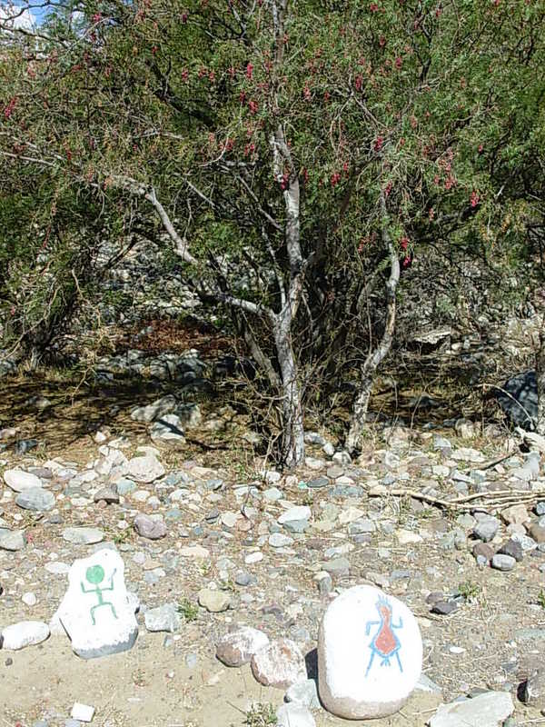 Foto de Rivadavia, Chile