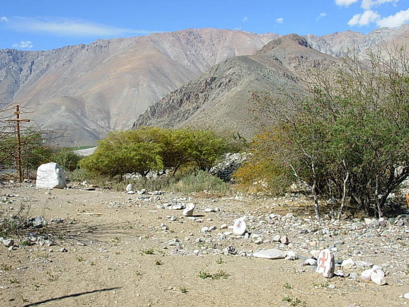 Foto de Rivadavia, Chile