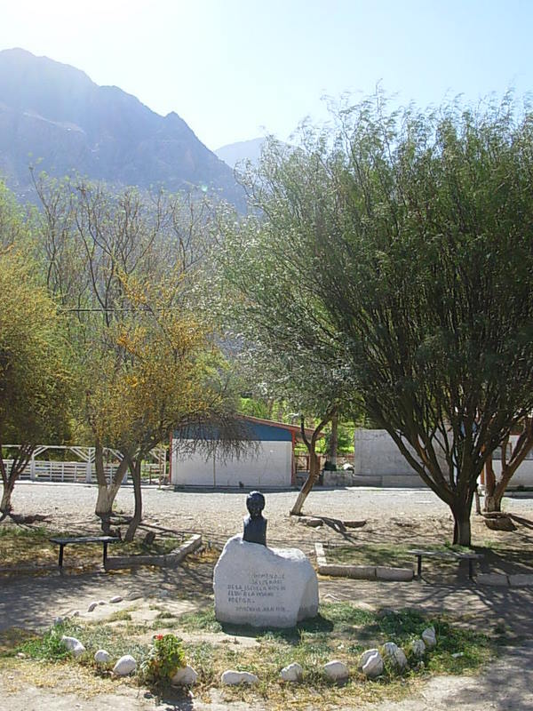 Foto de Rivadavia, Chile