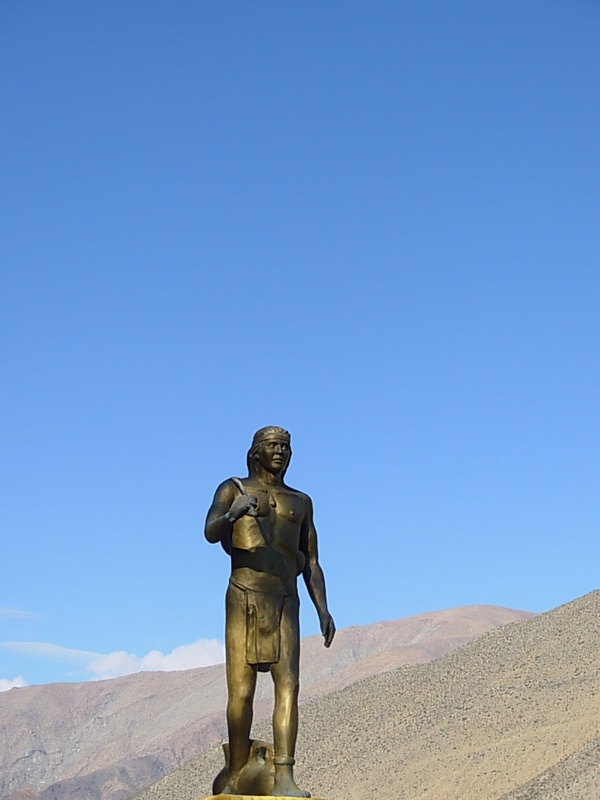 Foto de Vicuña, Chile