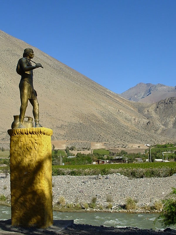 Foto de Vicuña, Chile