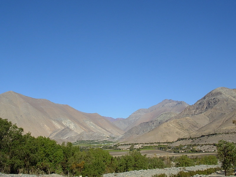 Foto de Vicuña, Chile