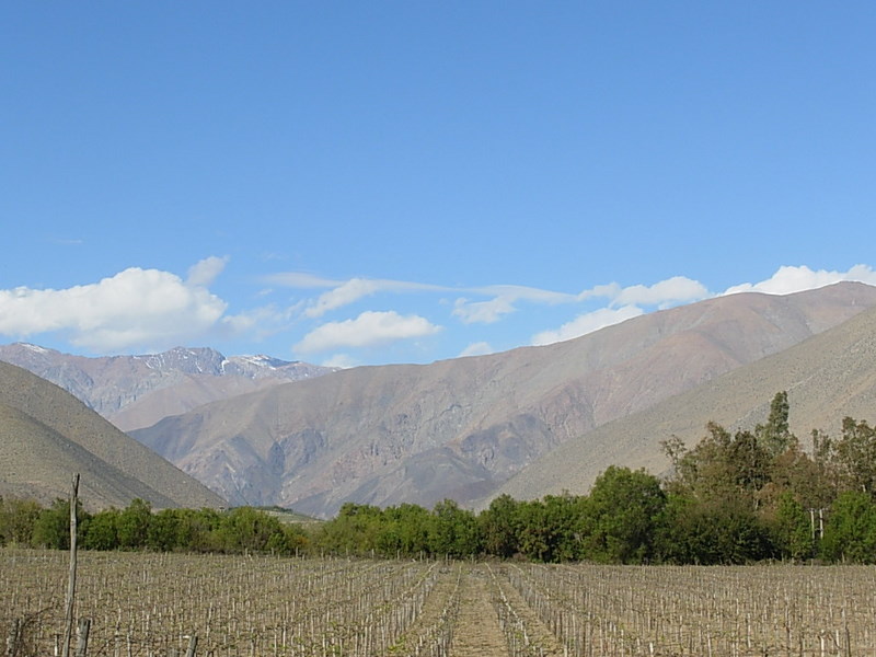 Foto de Vicuña, Chile