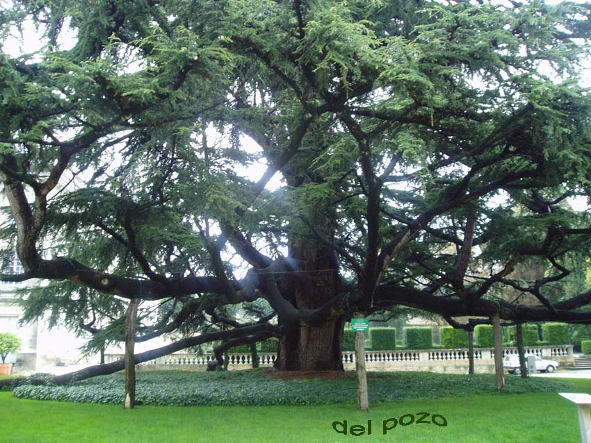 Foto de Tours, Francia