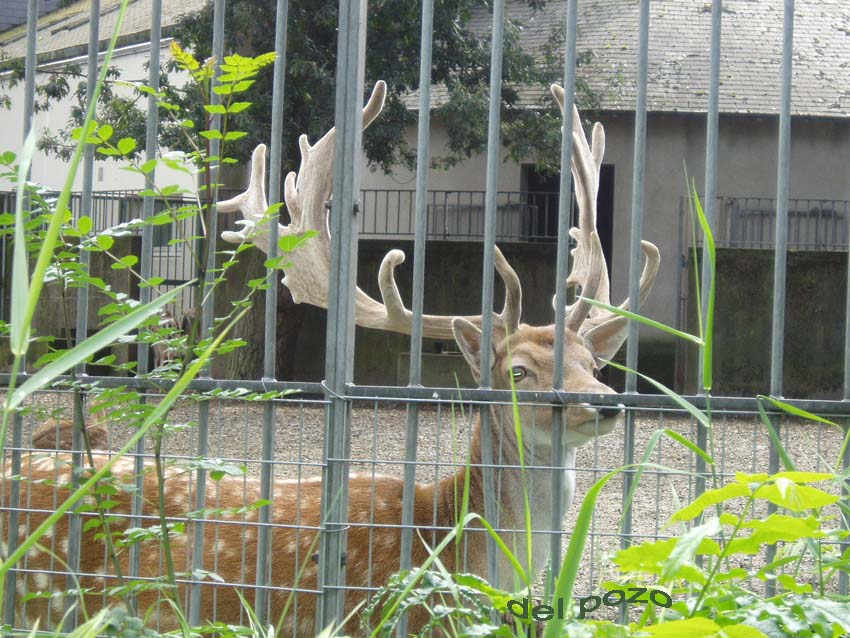 Foto de Tours, Francia