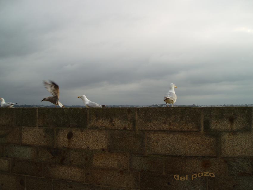 Foto de Saint-Malo, Francia
