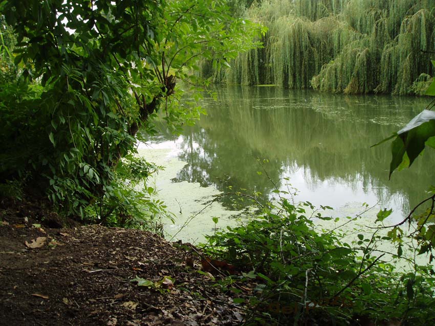 Foto de Paris, Francia