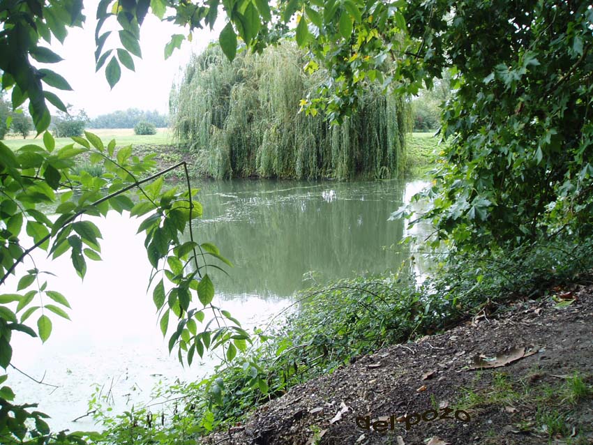 Foto de Paris, Francia