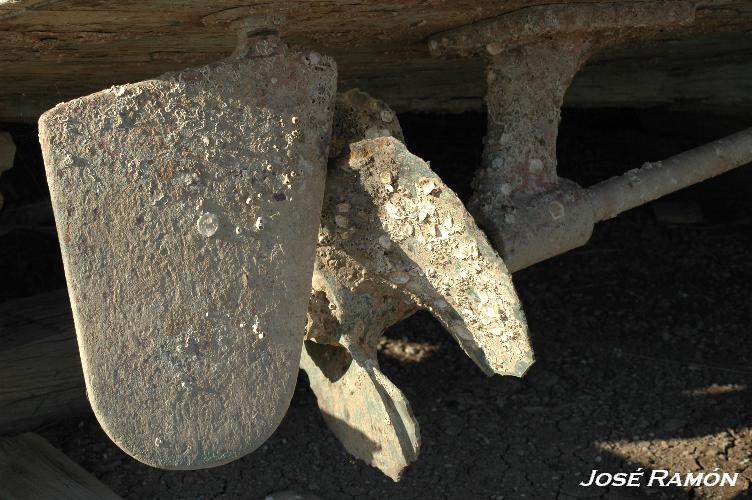 Foto de Trebujena (Cádiz), España