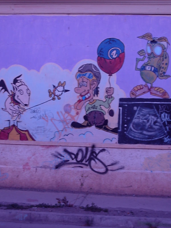 Foto de Vicuña, Chile