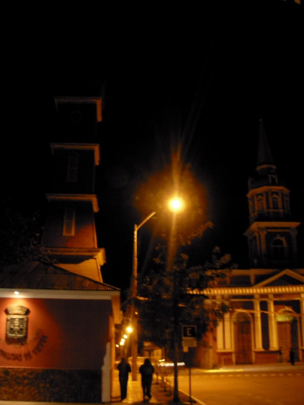 Foto de Vicuña, Chile