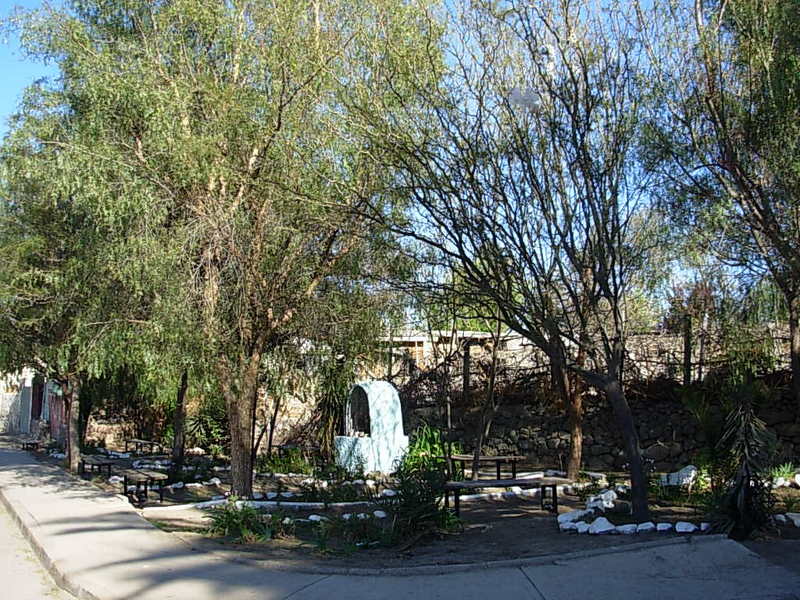 Foto de Vicuña, Chile