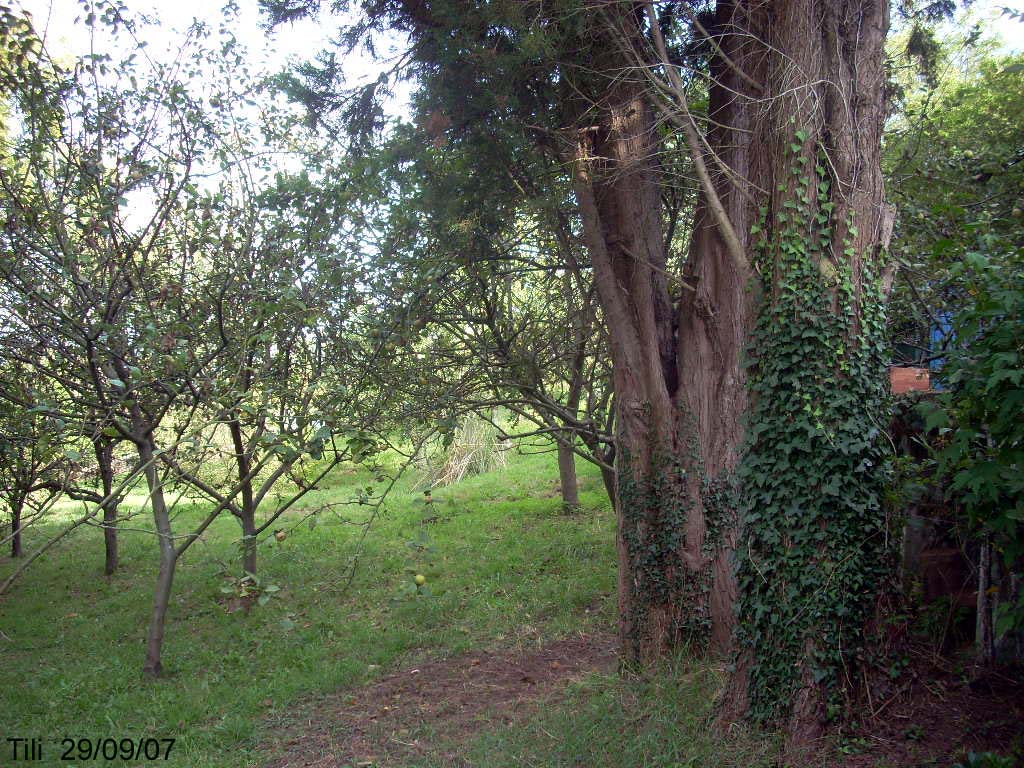Foto de Oviedo (Asturias), España