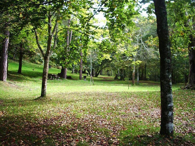 Foto de Piloña (Asturias), España