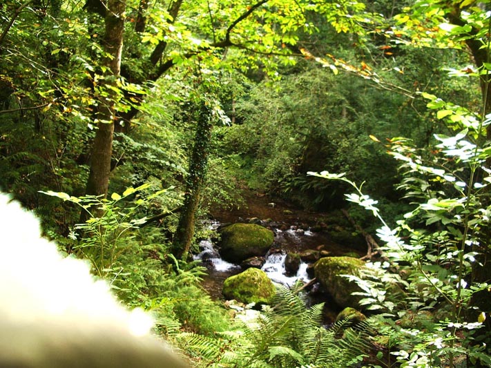 Foto de Piloña (Asturias), España