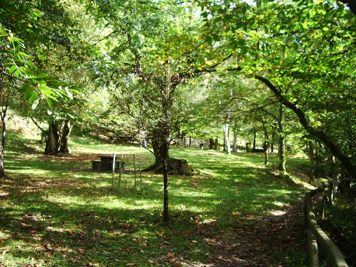 Foto de Piloña (Asturias), España