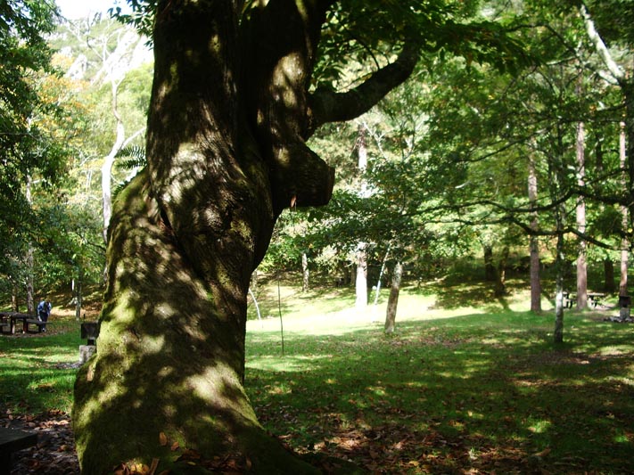 Foto de Piloña (Asturias), España