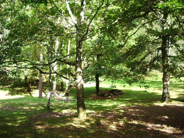 Foto de Piloña (Asturias), España
