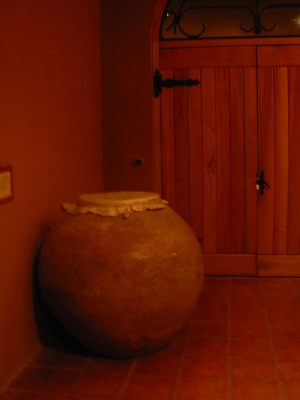 Foto de Vicuña, Chile