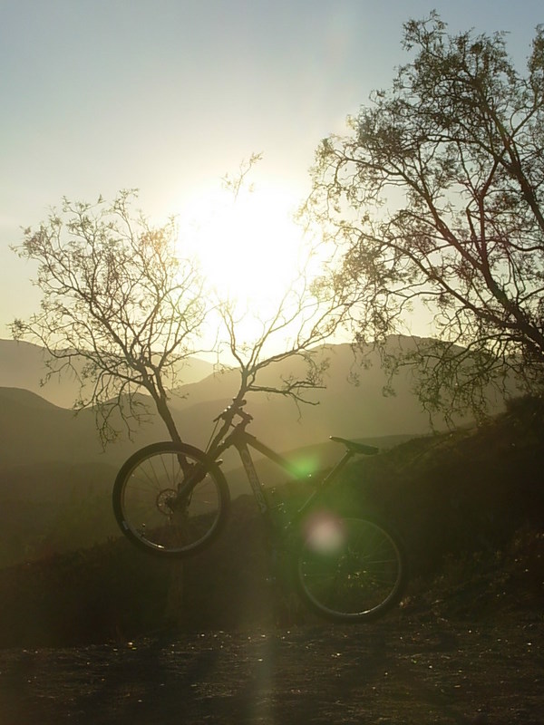 Foto de Vicuña, Chile