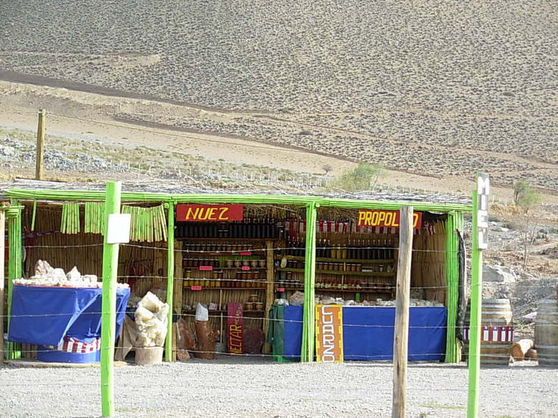 Foto de Vicuña, Chile