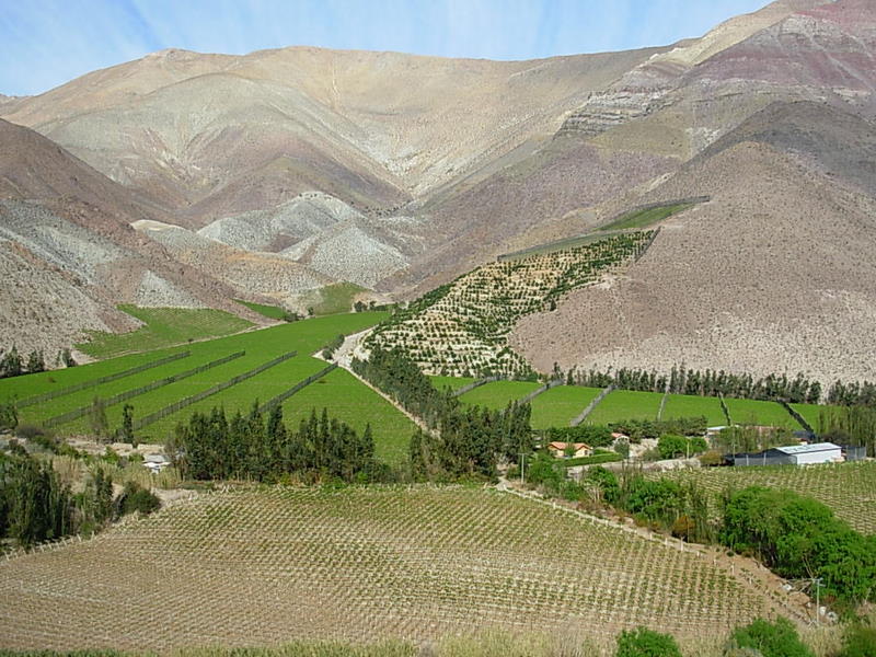 Foto de Paihuano, Chile