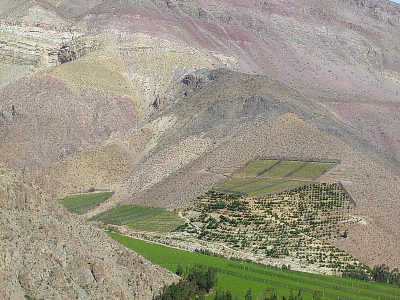 Foto de Paihuano, Chile